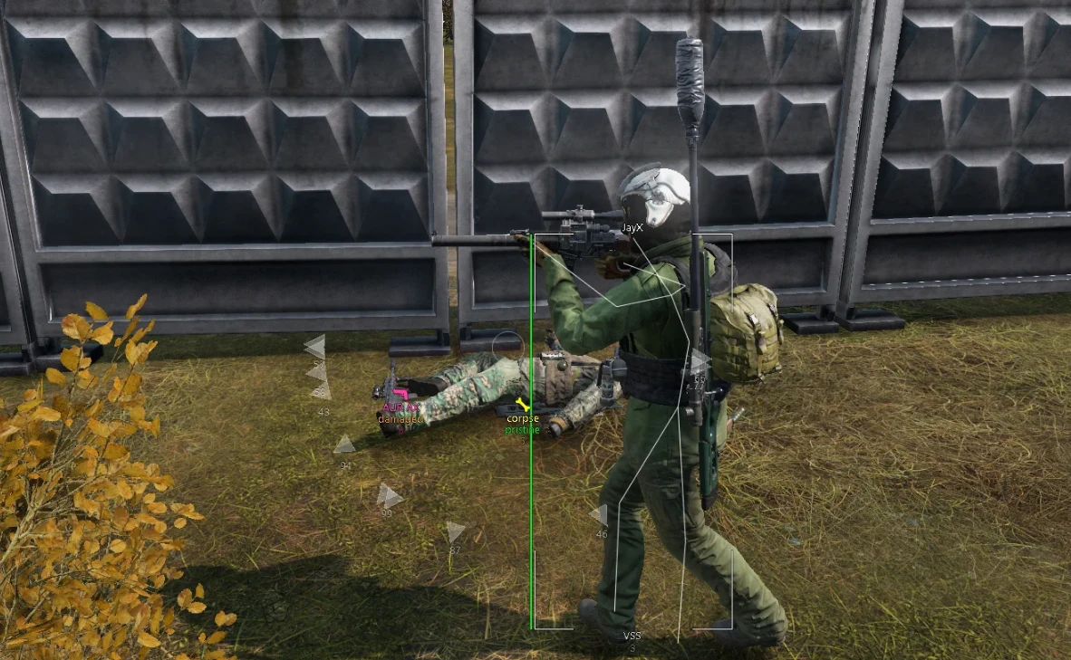 DayZ │MEMEZ